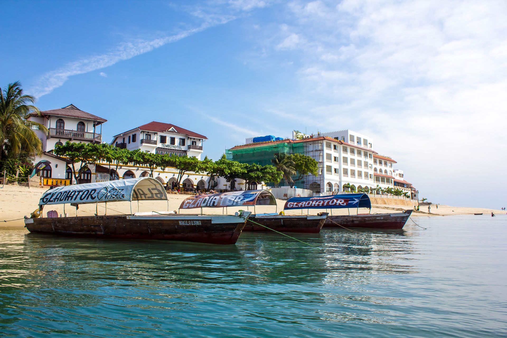 Zanzibar vs Tanzania Mainland Guide: Beaches or Safari Adventures
