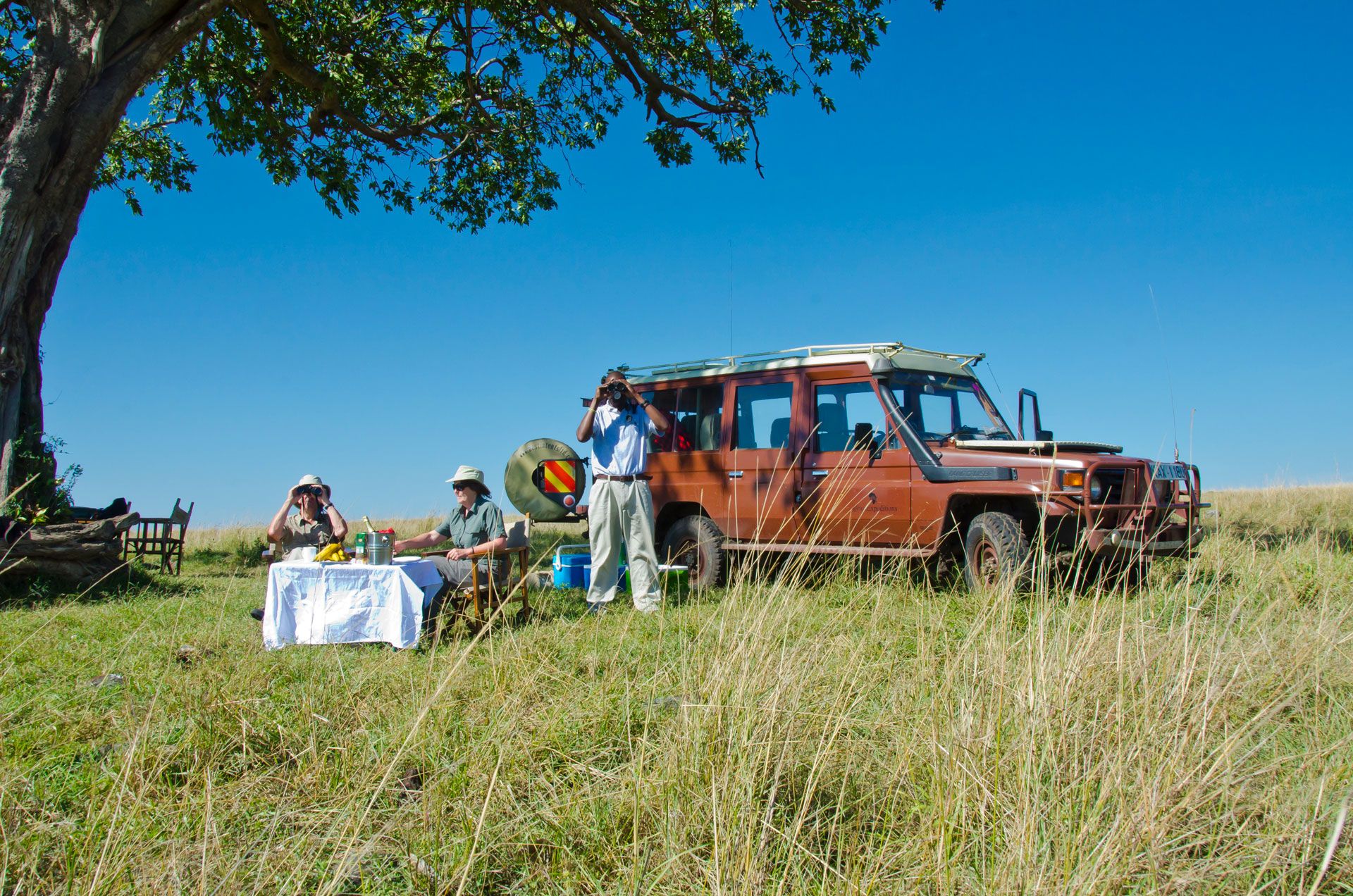 Maasai Mara Safari Guide: Best Time to Visit, Camps, and Wildlife