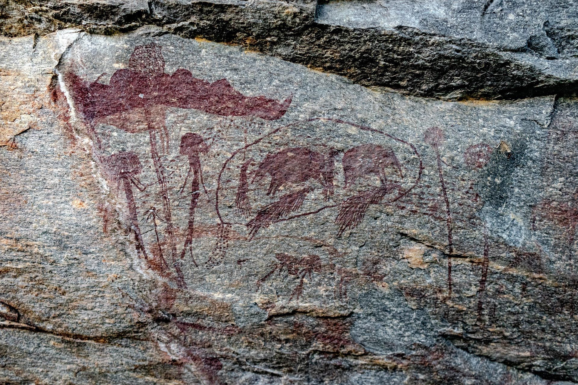 51495950836_8c77f0164d_k.jpg