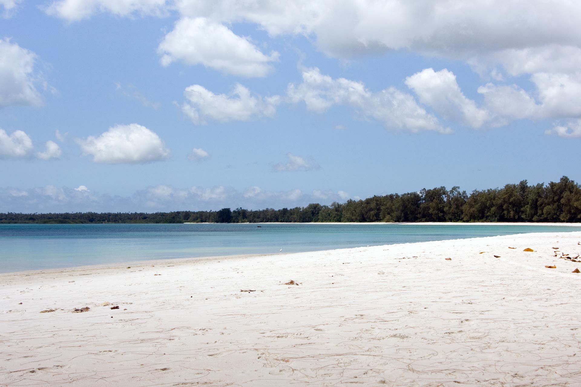 Vumawimbi_Beach,_Pemba_Island.jpg