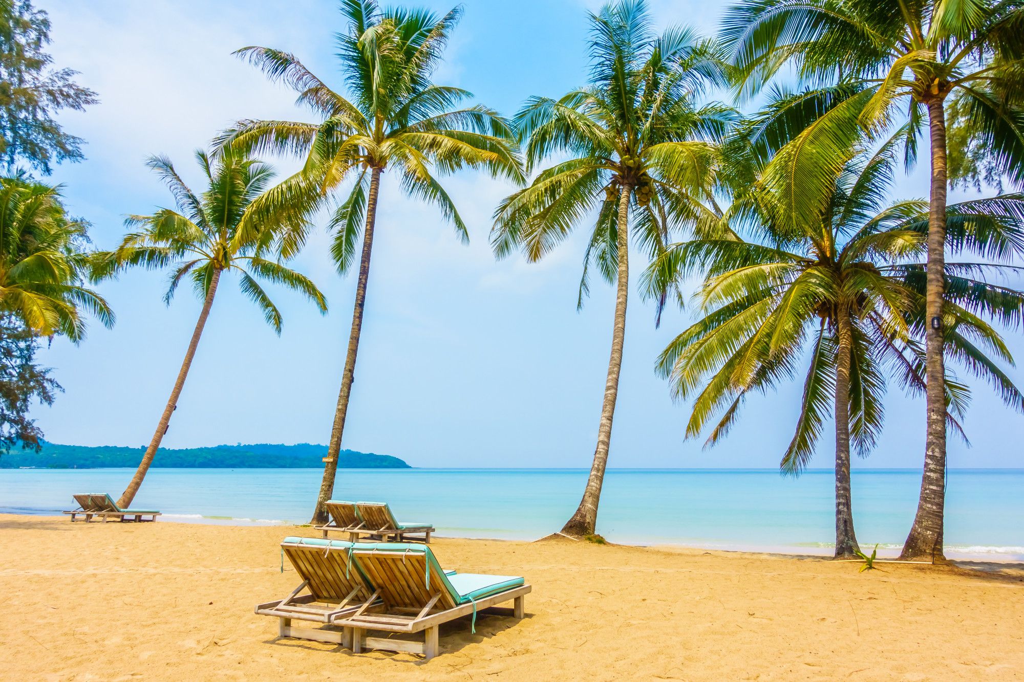 Ultimate Coastal Escape: Beaches of Kenya's Indian Ocean