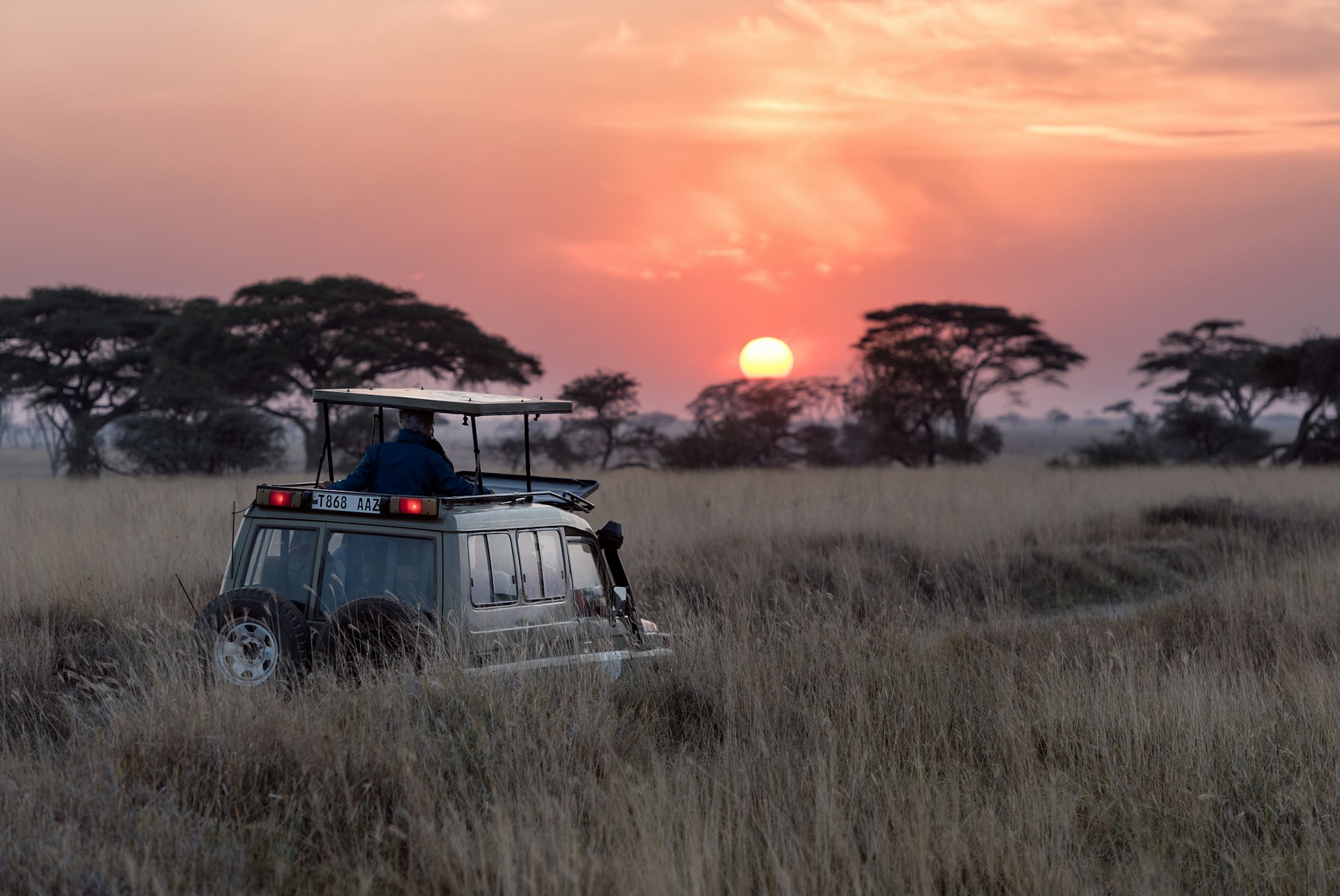 Game drive during sunrise in Serengeti National Park, Tanzania