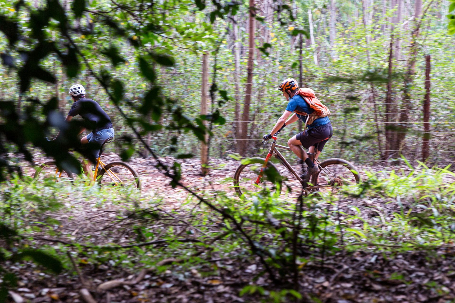 karura-forest-195.jpg