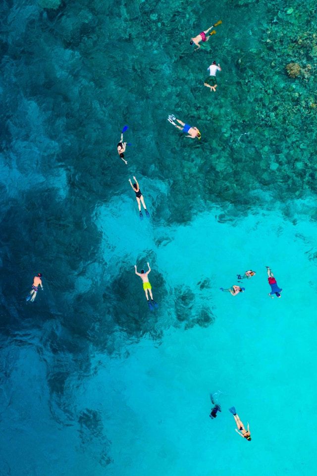Divers snorkeling over a reef