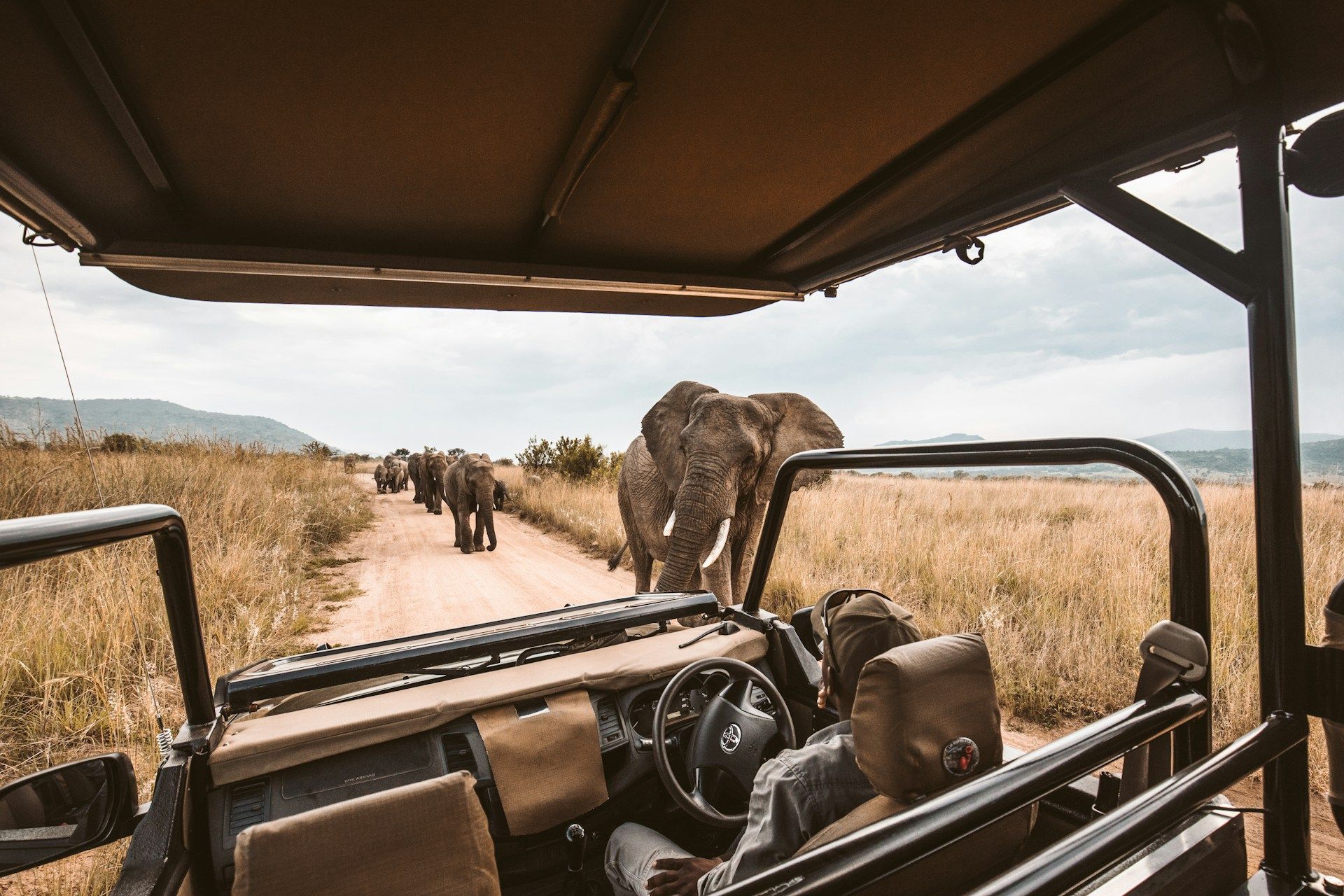 Luxury vs. Budget Safaris in Kenya: Best Options for Every Traveler