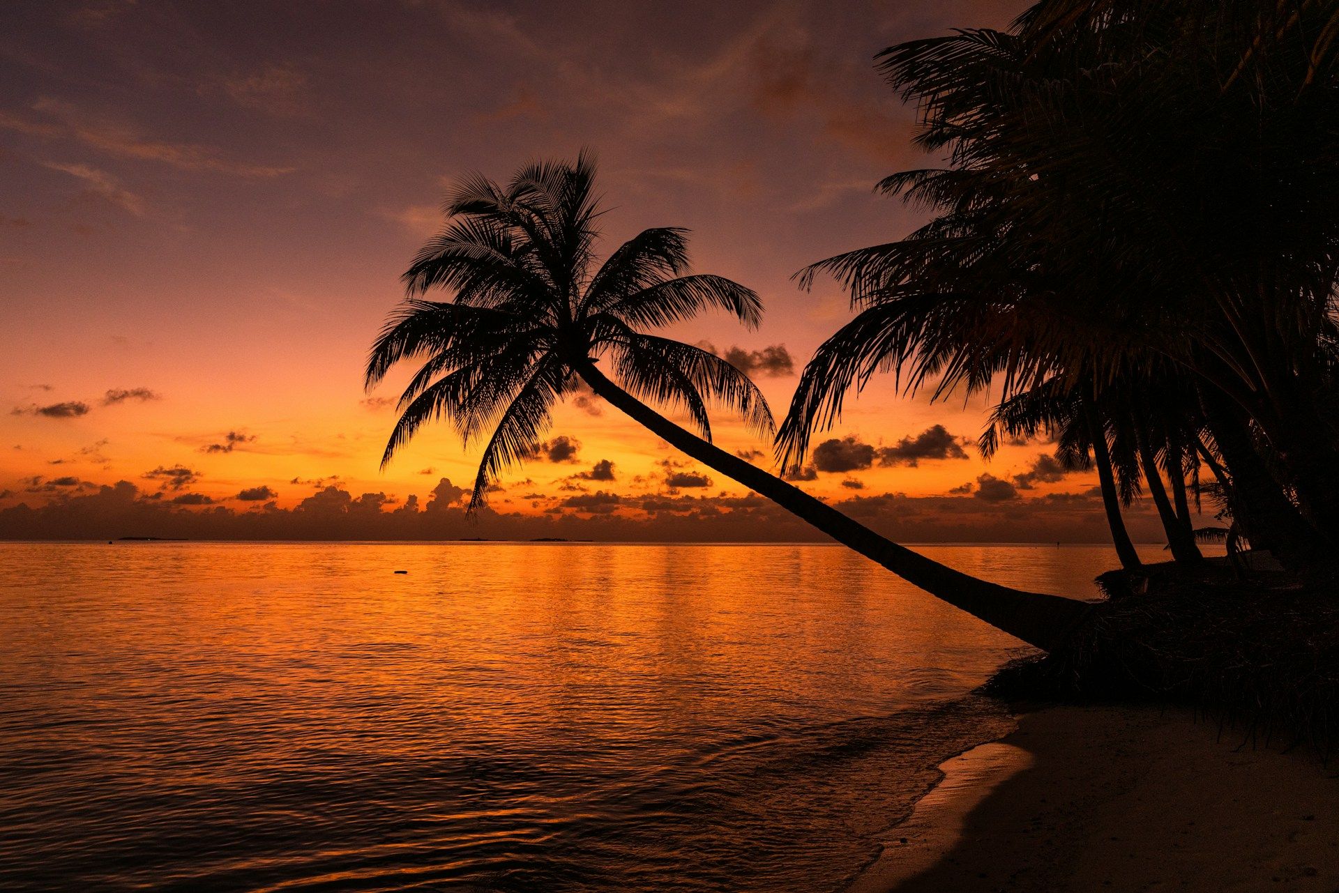 Coastal Kenya Guide: Diani, Watamu, Lamu – Where Pristine Beaches Meet Timeless Culture