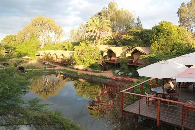 Wildebeeste Eco Camp Nairobi