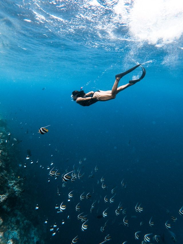 Diver in the ocean